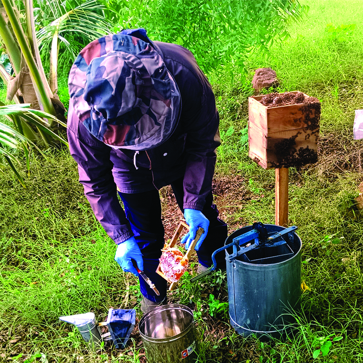 Organic Farming in Tamil Nadu
