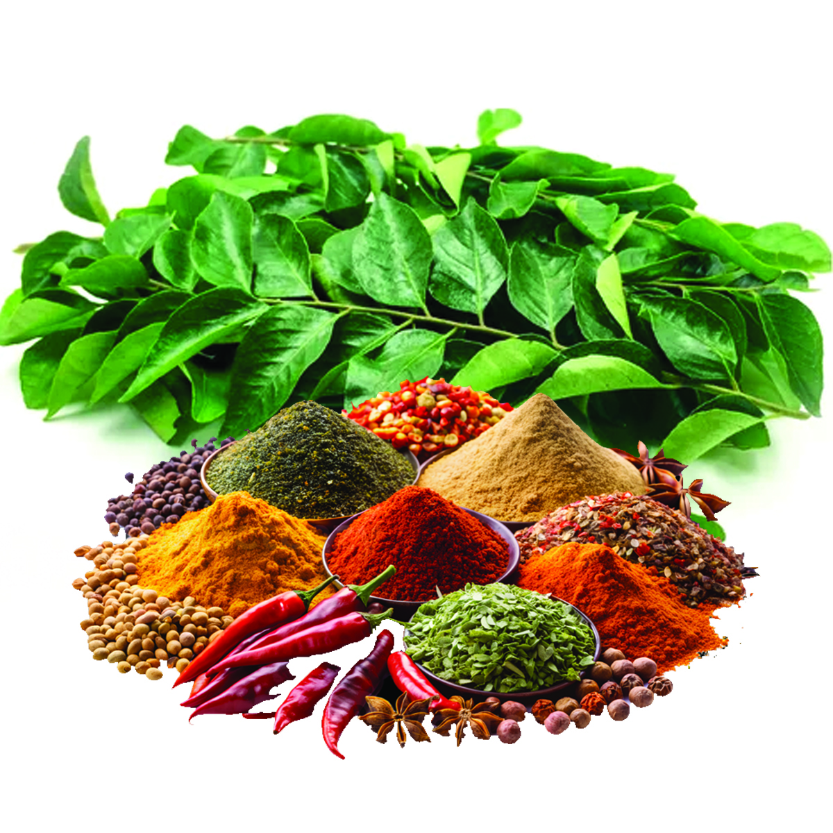 Ironic Curry Leaf Powder - Gallery