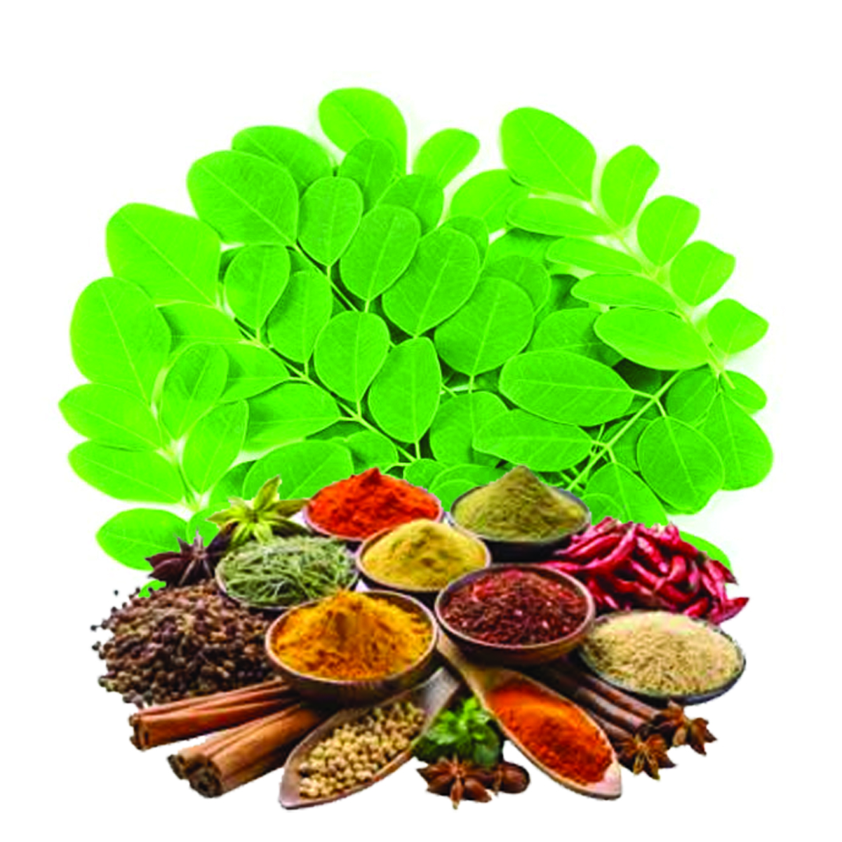 Moringa Leaf Powder - Gallery